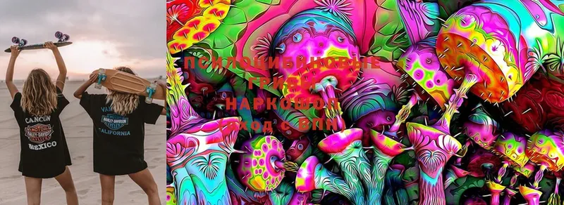 Галлюциногенные грибы Magic Shrooms  Малоархангельск 